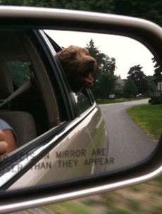 Bogie in the side-view mirror.